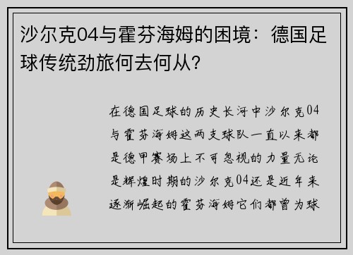 沙尔克04与霍芬海姆的困境：德国足球传统劲旅何去何从？