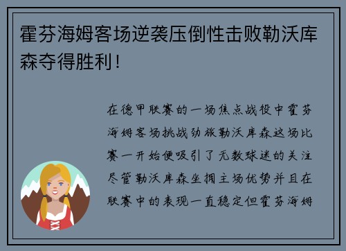 霍芬海姆客场逆袭压倒性击败勒沃库森夺得胜利！