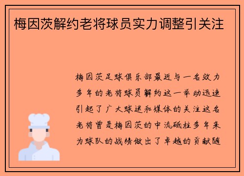 梅因茨解约老将球员实力调整引关注